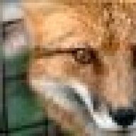 Thegreyfox666