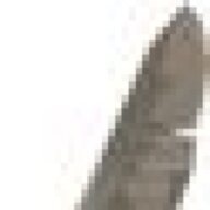 Wing0fSilver