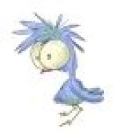 Crazy_Bird