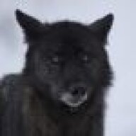 FluffyNeurosis