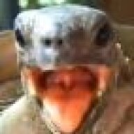Actsub