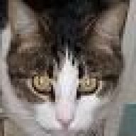dunxy