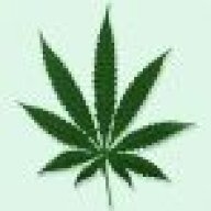 Funkymonk761