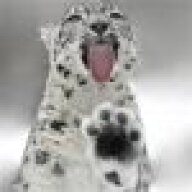 Sn0wLeppard