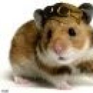 WarHamster40K