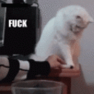 Chairman Miaow