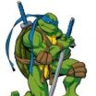 Hero in a half shell