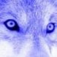 Wolfinton