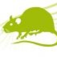 Alex The Rat