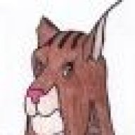 Lynxan