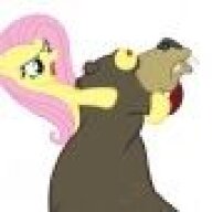 Flutterbrave