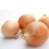 TastyOnions