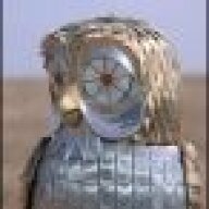 BirdBot