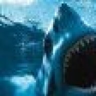 Sharkie668