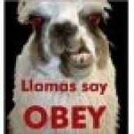 War Llama