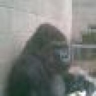 Bensavigear