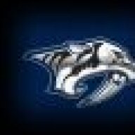wildcat5286