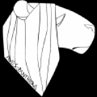 saluraropicrusa