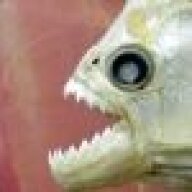 ELPiranha