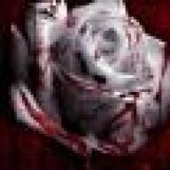 Bloodyrose