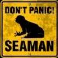 Dick Seamen