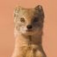 weasol