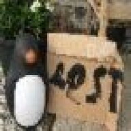 Death-of-Penguins