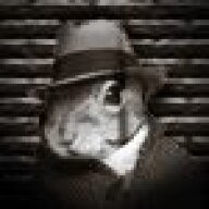 TheSquirrelisKing