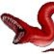worm82075