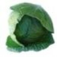 PossibleCabbage