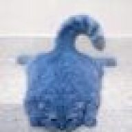 water_cat1