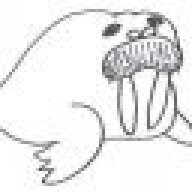 Fluffy Walrus