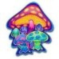 Shpongled