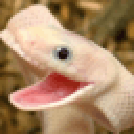 GutsyEXE