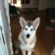 PabsColumbo