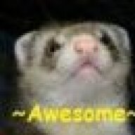 AwesomeFerret