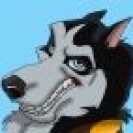 dogitydogdog