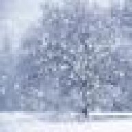 Awake-