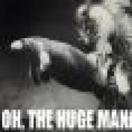 flibbertigibbet2