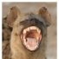 Kevin Hyena