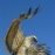 arrapippol