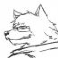 Der Wolf