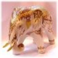 Elephant Walker19
