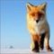 WFox