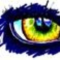 Calico93