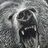 Ursus Buckler