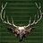 moosemaimer