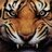 RagingTiger